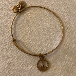 Alex and Ani Bracelet